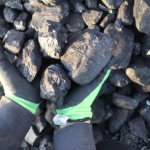 Węgiel śląski orzech silesia