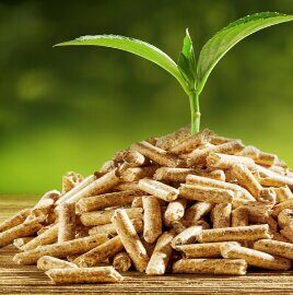 m_w196153giel_2_compress (2)